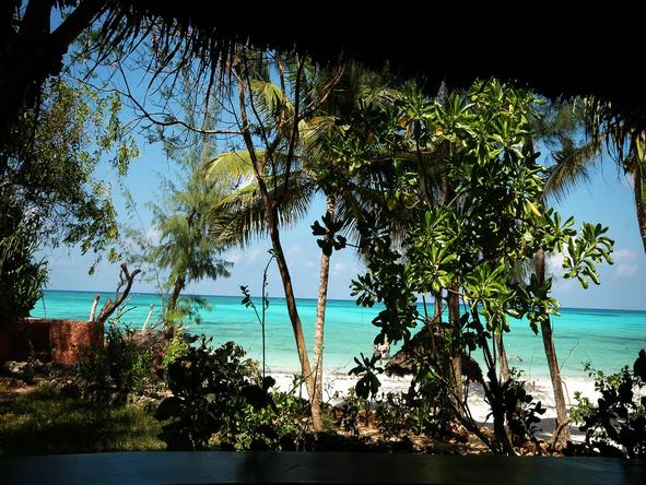 Pongwe Beach Hotel - View 
